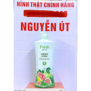 dầu gội fresh 650g