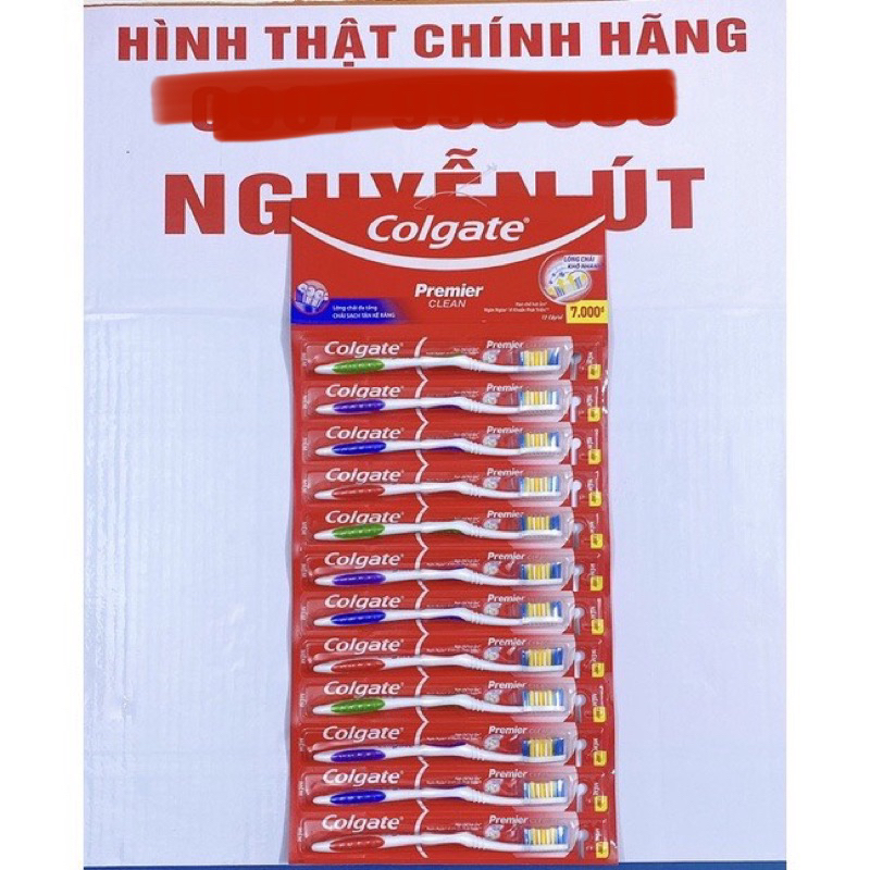 bàn chải đánh răng colgate vĩ 12 cây