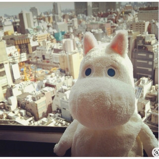 Gấu bông hà mã moomin Hàn cute hột me