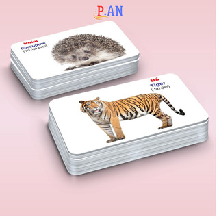 Thẻ học Flashcard - Bộ Thẻ Học Thông Minh (416 Thẻ Flashcards Tiếng Anh 16 Chủ Đề)