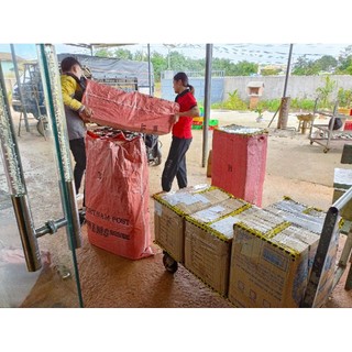 mắc ca sấy daklak 1kg (sai 20_22mm)