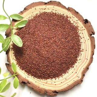 Ngũ hoa hạt nguyên chất 100g