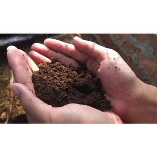 Phân hữu cơ 500 gram trùn quế