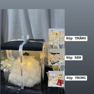 Mô hình Váy cưới LÔNG VŨ mini