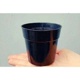Chậu nhựa tròn trơn size 9cm x 8cm - trồng cây mini - sen đá...