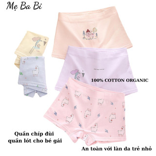 QUẦN LÓT TRẺ EM, QUẦN CHÍP CHO BÉ GÁI, CHẤT COTTON MỀM MÁT, HỌA TIẾT ĐÁNG YÊU, QUẦN LÓT TRẺ EM TỪ 8 - 17KG