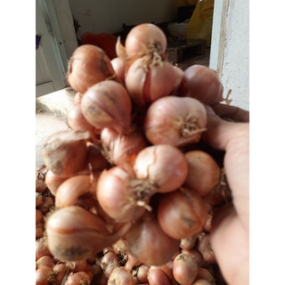 Hành Ta Hải Dương 1kg