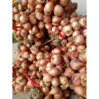 Hành ta hải dương 1kg