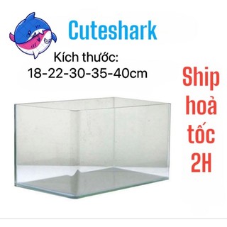(Giá hủy diệt ) Bể kính đúc (Sz 18- 22- 30 -35 - 40cm ) bể cá hồ thủy sinh