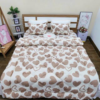Vỏ Gối Nằm Cotton Poly (Shinbedding)