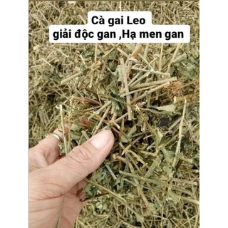 Cà gai leo sấy khô & viên cà gai leo mật nhân
