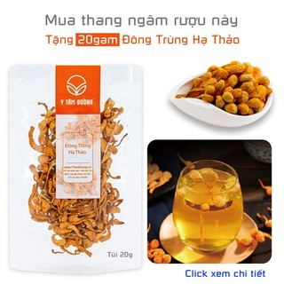 Thang ngâm rượu Đại Bổ Thang đặc biệt