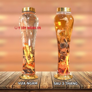 Thang ngâm rượu Sâm Nhung Hải Mã