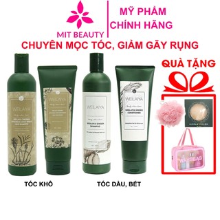 Bộ dầu gội gừng Weilaiya, giảm rụng kích mọc tóc chính hãng