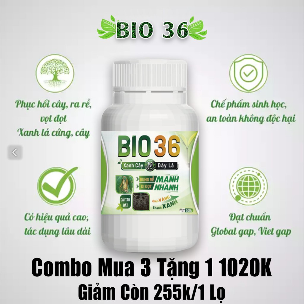 [Combo 3 Tặng 1] Bio 36 - Siêu Kích Rễ, Siêu Đi Đọt