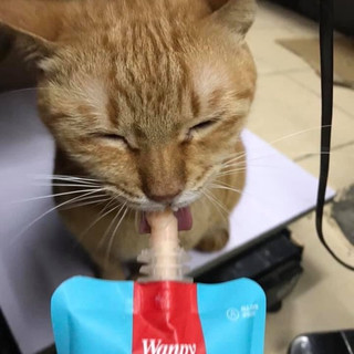 Sup dinh dưỡng Wanpy NẮP VẶN cho mèo