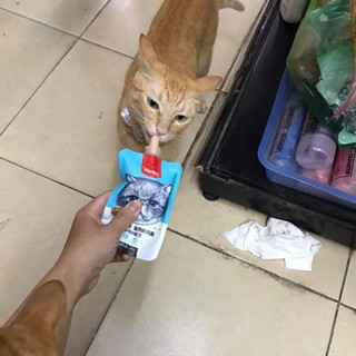 Sup dinh dưỡng Wanpy NẮP VẶN cho mèo