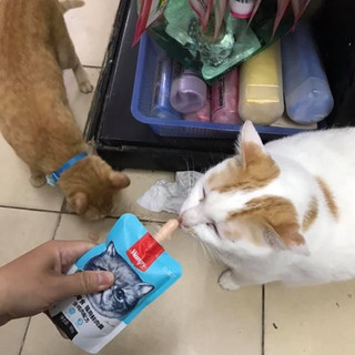 Sup dinh dưỡng Wanpy NẮP VẶN cho mèo