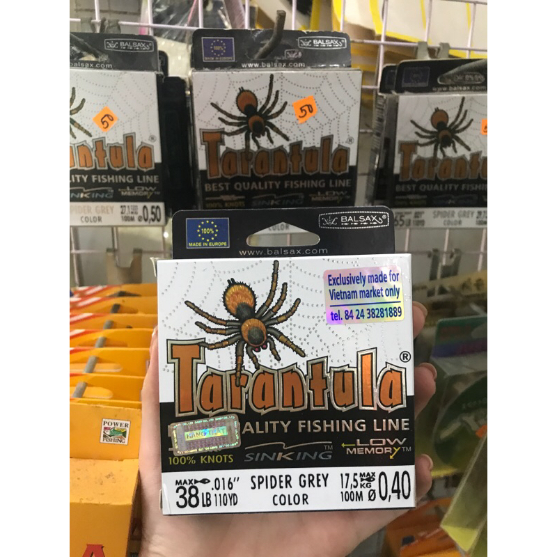 nhợ con nhện Tarantula 🔥100m🔥 loại 1