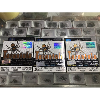 nhợ con nhện Tarantula 🔥100m🔥 loại 1