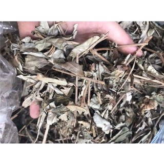 [Combo 2kg] khổ sâm khô loại 1 - Hàng sạch thơm chất lượng cao