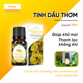 Tinh dầu thơm cho xe ô tô - Tinh dầu khử mùi 10ml