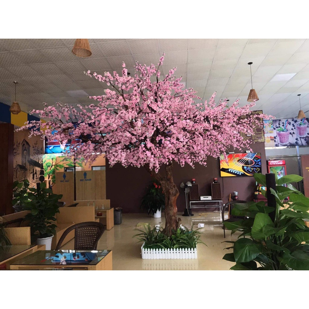 Cây Anh Đào Giả- Cây Mai Hoa Lụa- Thân Gỗ Tự Nhiên- Decor Nhà Hàng- Trang Trí Nhà Cửa