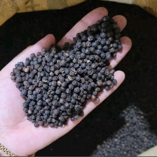 Tiêu hột đen nguyên chất từ daklak...500g