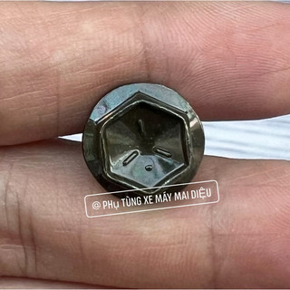 Ốc bắt pad ampida / hộc bình / ổ khoá trước