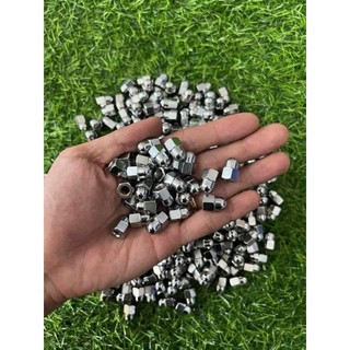 ốc pô 6 ly (loại xịn) (1 con)