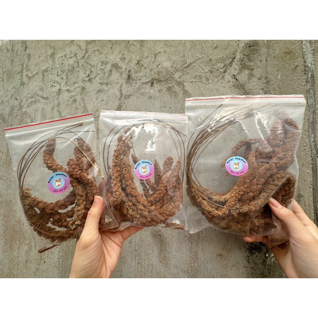 Kê chùm cho hamster [30gr / 50gr /100gr]