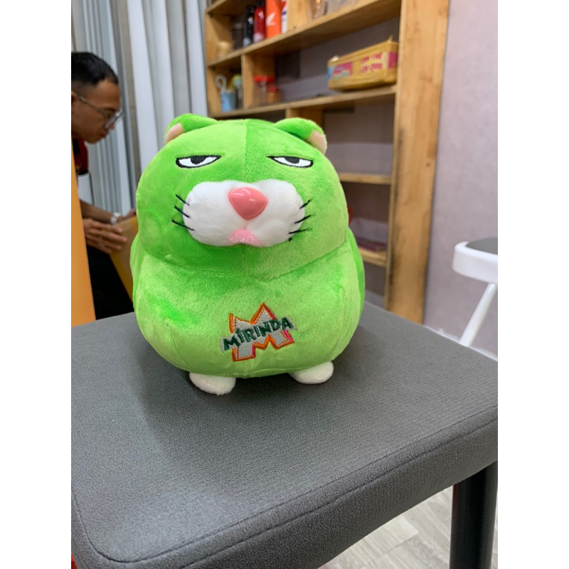 MÈO BÔNG MIRINDA jenipher