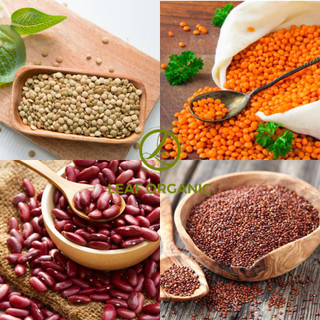 QUÀ TẶNG - Đậu lăng xanh, lăng đỏ cam san hô, đậu đỏ kidney, diêm mạch đỏ hữu cơ Markal