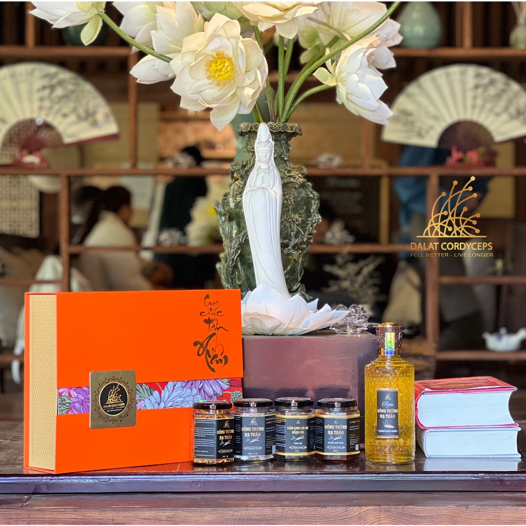 Đông trùng hạ thảo hữu cơ, hộp quà tặng cao cấp, Dalat Cordyceps