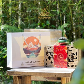 Set quà sức khoẻ Vạn An - Dalat Cordyceps - Đông trùng hạ thảo, saffron, linh chi, thảo mộc thiên nhiên