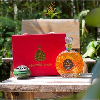 Đông trùng hạ thảo tươi ngâm rượu trong chai XO - Dalat Cordyceps - Hộp cao cấp