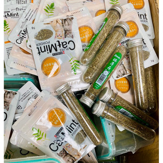 Cỏ bạc hà mèo catnip xả stress cho mèo