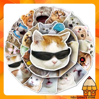 Set 10/20/50 hình dán mèo ngố meme 😸 sticker cute trang trí xe, laptop, nón bảo hiểm