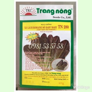 Hạt giống xà lách Romaine đỏ tím Trang Nông gói 10gr
