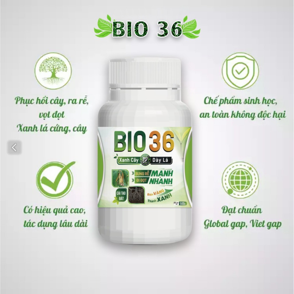 BIO36 Kích Rễ, Kích Đọt