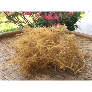 Rong sụn khô 500g