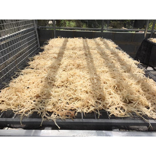 Rong sụn khô 500g