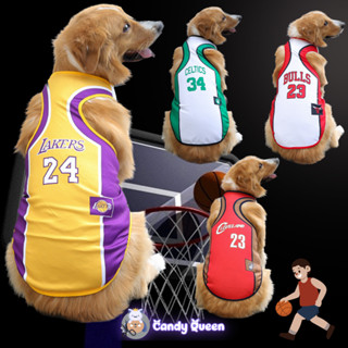 Áo Bóng Rổ Bóng Đá Cho Chó Mèo Thú Cưng Áo Chó Mèo Đủ Size Cho Các Boss Big Size 6XL