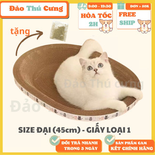 Bàn Cào Móng Cho Mèo Ổ cào móng cực lớn, bàn cào móng cho mèo tặng catnip 5gr