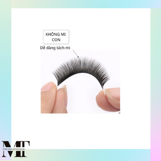Mi Nối Khay Cong C