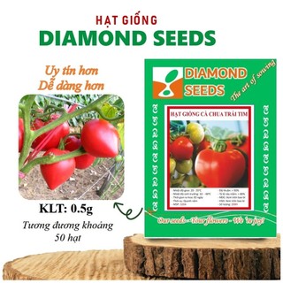 Hạt giống cà chua trái tim đỏ, cơm dày, ngọt, thơm, trồng quanh năm cà chua trái tim cao sản f1
