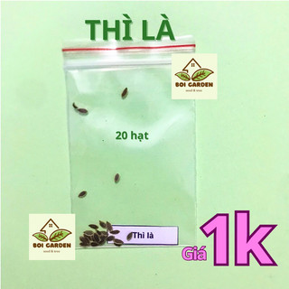 [Deal 1k] Hạt giống rau THÌ LÀ (13)