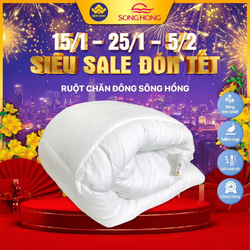 Ruột Chăn Đông Sông Hồng phân phối chính hãng tại Đệm Xanh