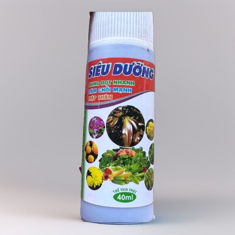 Phân bón siêu dinh dưỡng bung đọt đâm chồi mập thân