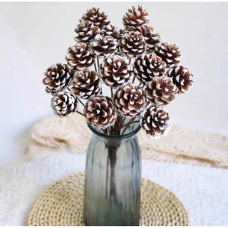 Quả thông khô có cành dùng trang trí decor phòng